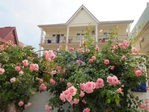 Guesthouse Dubrava: главное фото 1