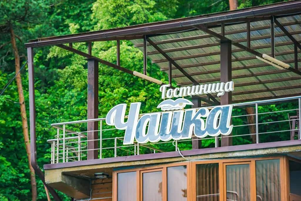 Чайка: главное фото 1