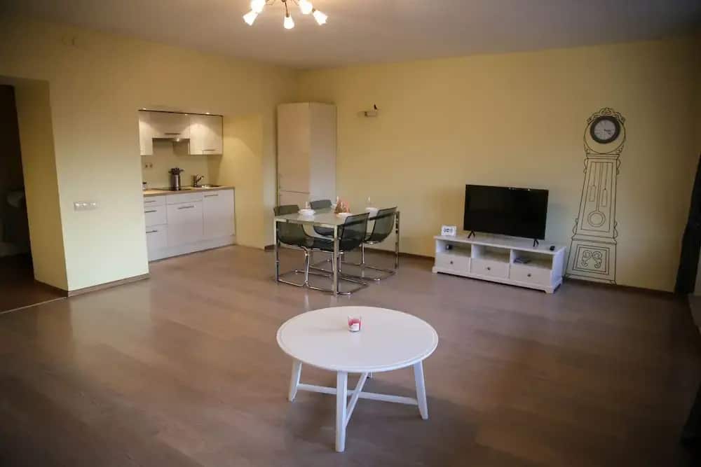 Apartment Troitskaya 26: главное фото 1