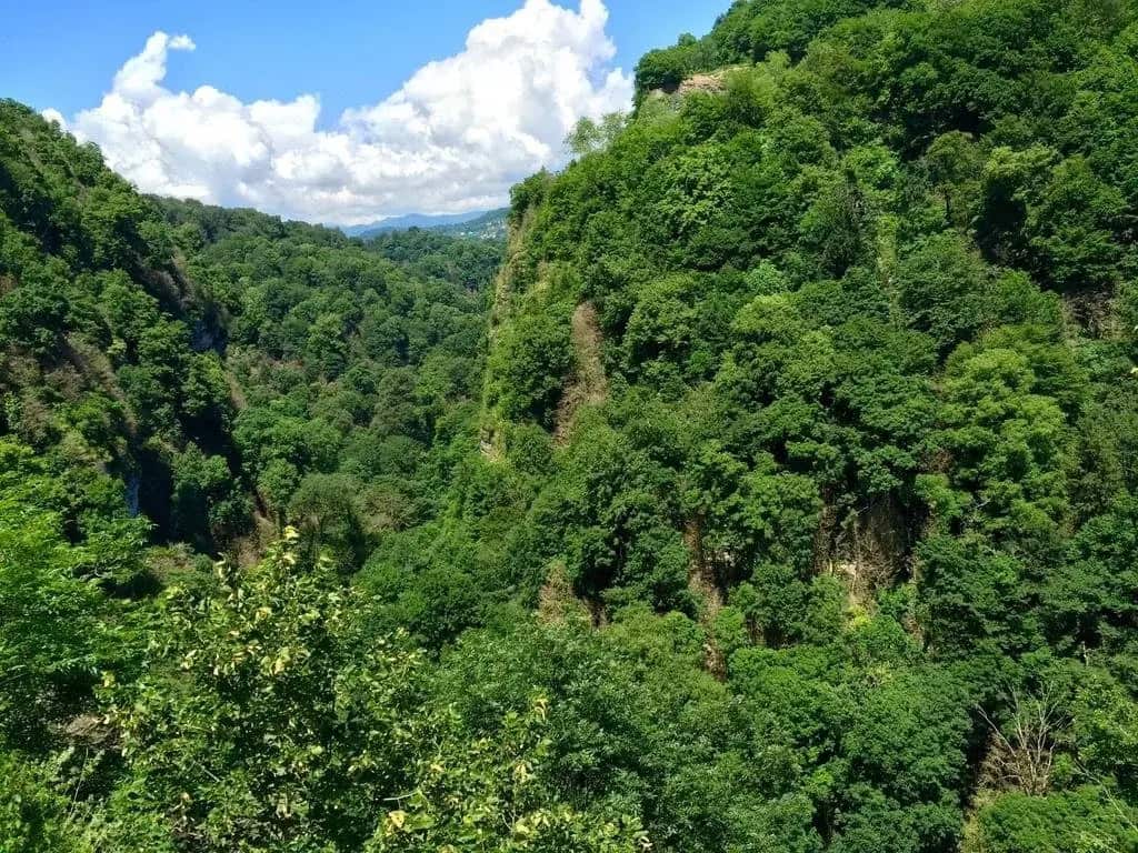 Guesthouse Olesya: главное фото 1