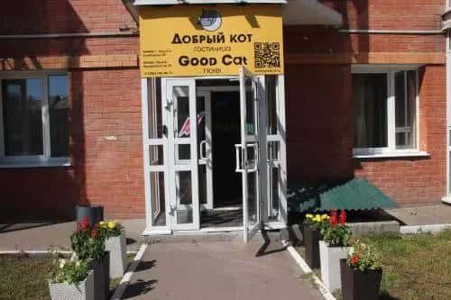 Good Cat - Hostel: главное фото 1