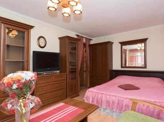 Apartment Na Sheinkmana 45: главное фото 1