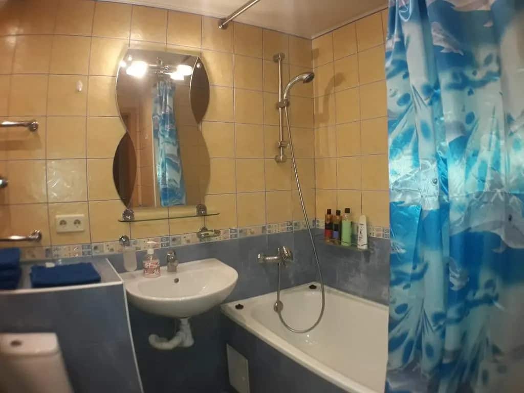 Sunny Apartment Volkov 21: главное фото 1