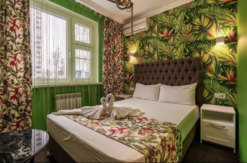 Сова Академическая: главное фото 1