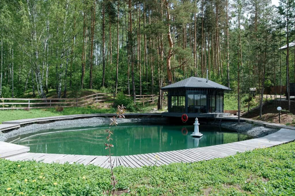 Куль Сканди: главное фото 1