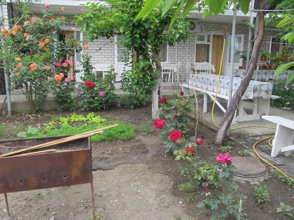 Na Chekhova Guest House: главное фото 1