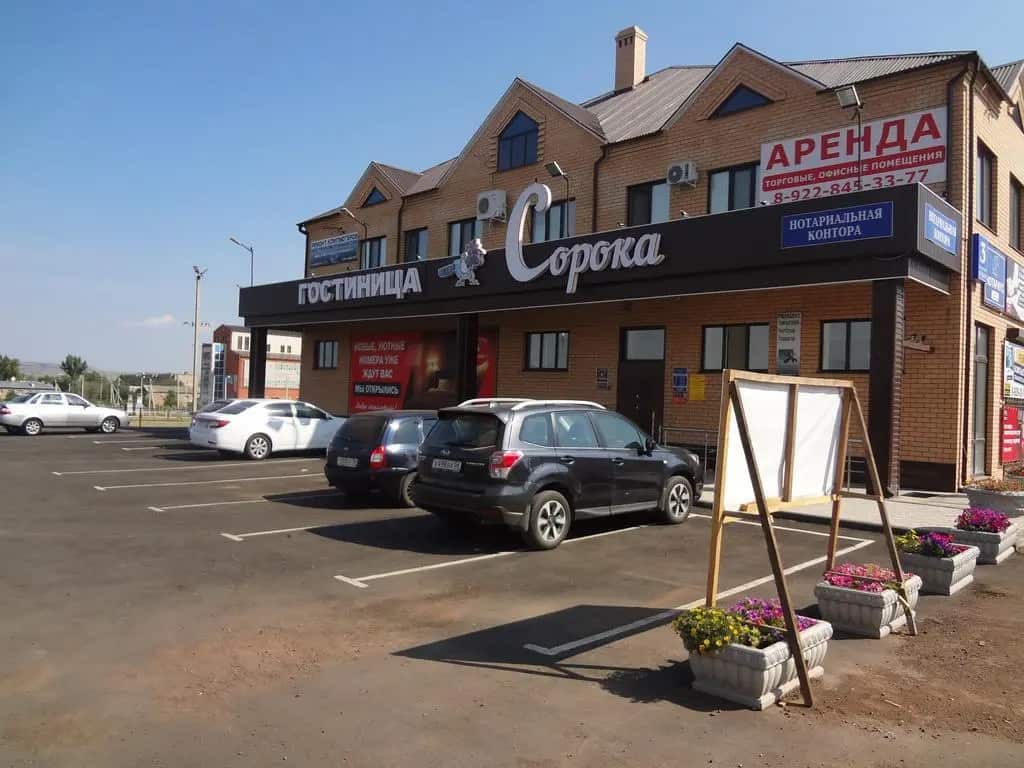 Сорока: главное фото 1