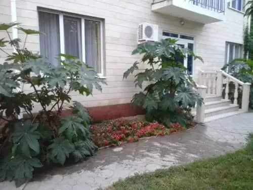 Guest house Pontiyskaya 16: главное фото 1