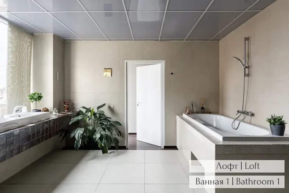 Panoramic LOFT & Mansard: главное фото 1