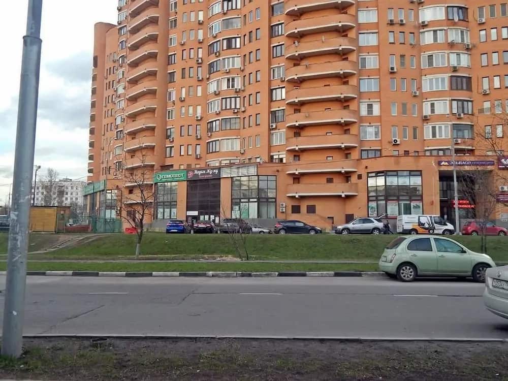 Apartment Hanaka on Zhigulevskaya 14: главное фото 1