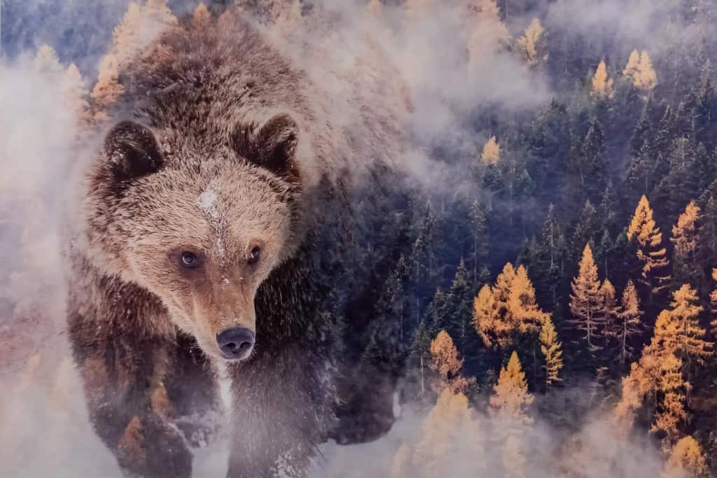 Апартаменты 7 дней на улице Тверская: главное фото 1
