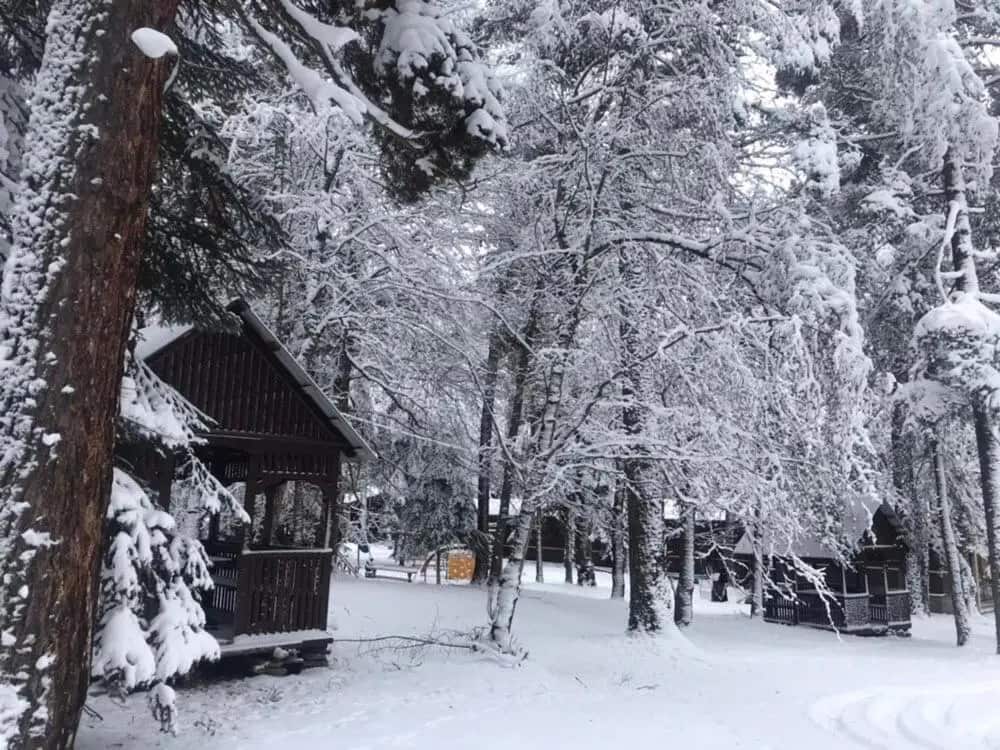 Чегет (Архыз): главное фото 1