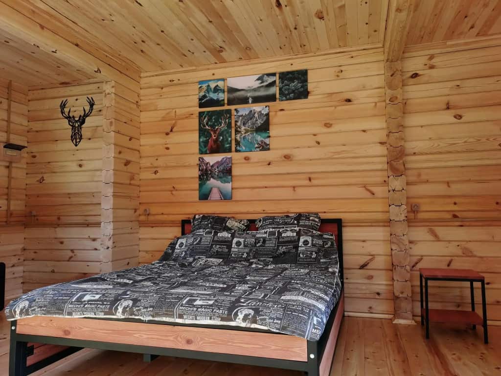 Горный орел: главное фото 1