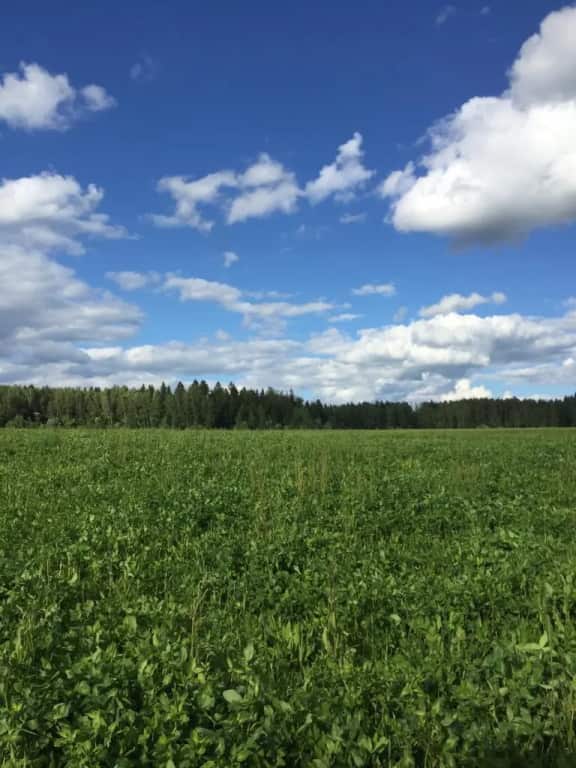 Барнхаус Сова: главное фото 1
