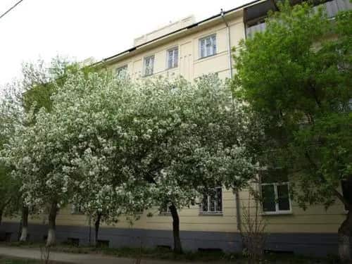 Emodji Hostel: главное фото 1