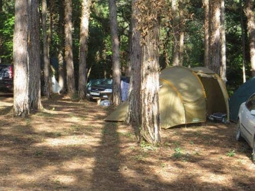 Sosnovy Ray Camping: главное фото 1