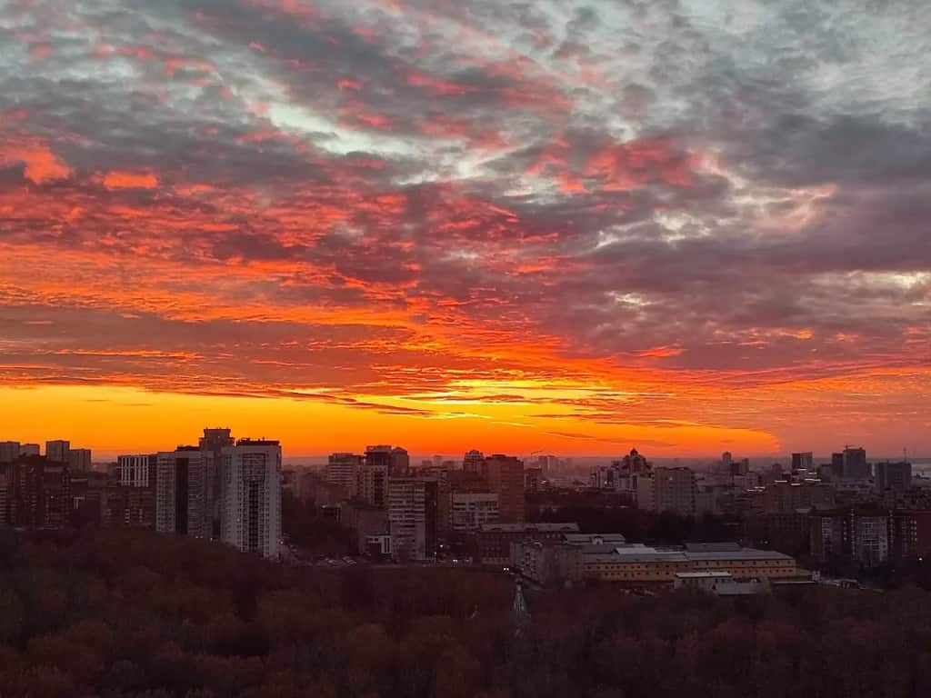 Квартира на бульваре: главное фото 1