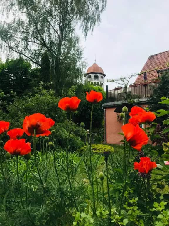 Апартаменты в Сердце Светлогорска: главное фото 1
