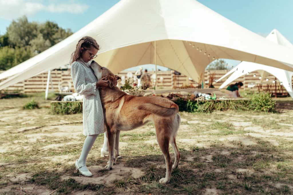 Dikaya Sobaka Dingo Glamping: главное фото 1