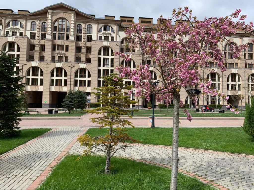 Апартаменты Gorki Gorod Collection: главное фото 1