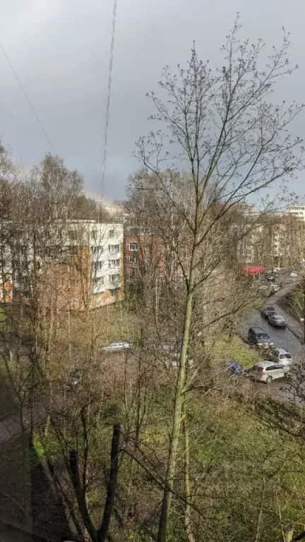 Апартаменты Город Рек на Невском 125 NEW: главное фото 1