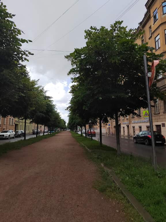 Квартира Уютная квартира на Васильевском острове рядом с центром: главное фото 1