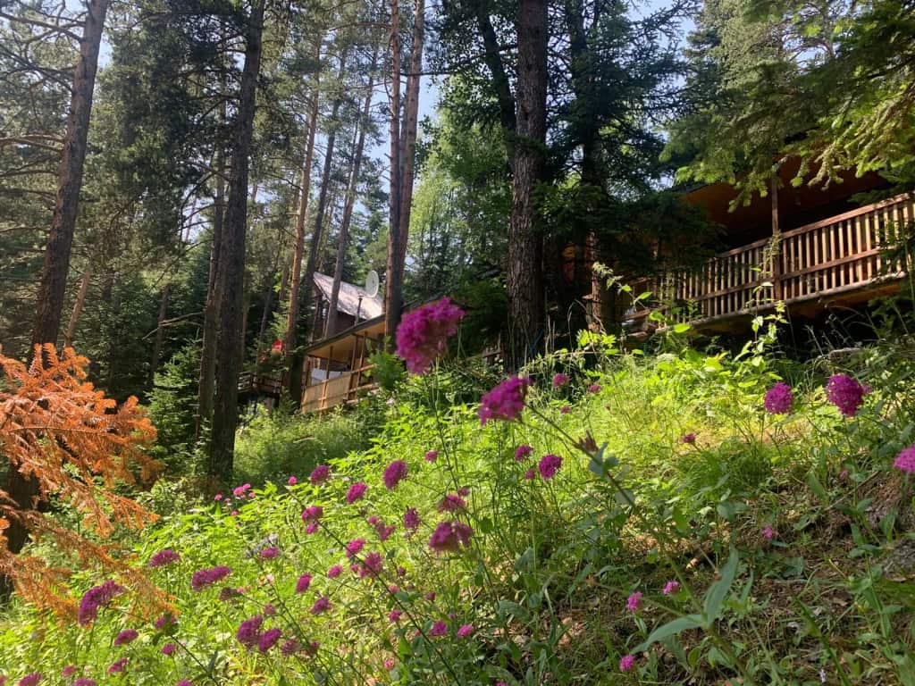 База отдыха Solur: главное фото 1