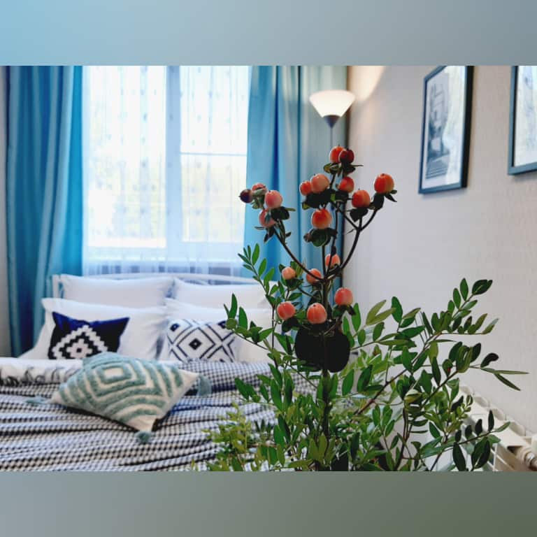 Апартаменты Mint сети DeNewHome на Ленинском проспекте: главное фото 1