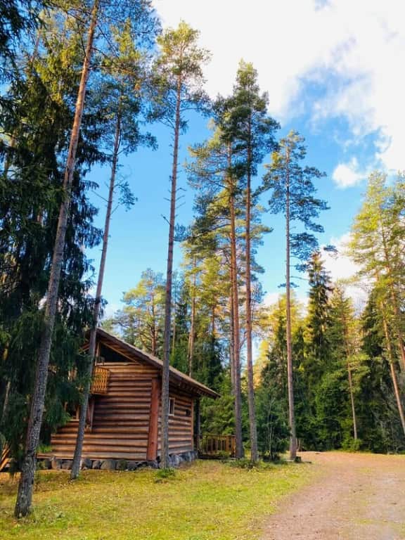 Отель Туристическая Деревня Кургала: главное фото 1