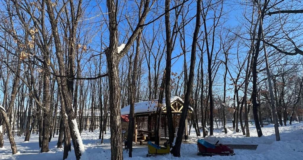 Дубравушка: главное фото 1