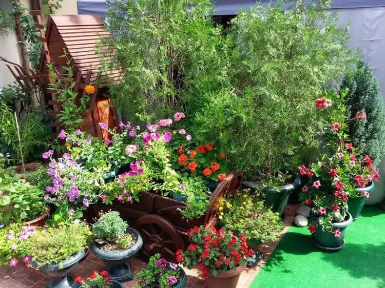 AdlerOk Guest House: главное фото 1