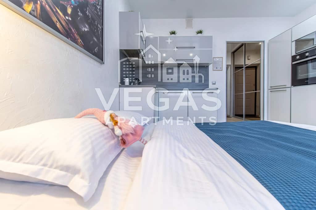 Апартаменты VEGAS на Гагарина 99/1: главное фото 1