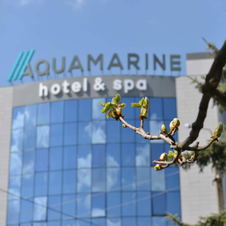 Отель Aquamarine hotel&spa: главное фото 1