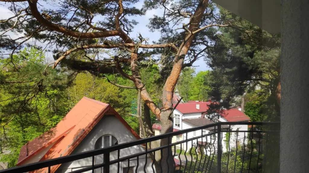 Апартаменты Amber West: главное фото 1