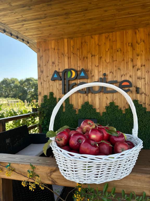 Глэмпинг Apparadise Glamping&Spa: главное фото 1