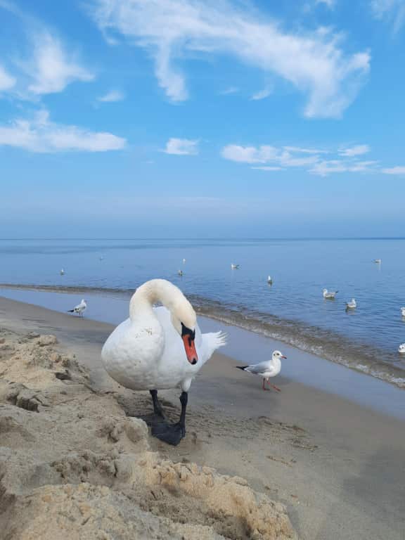 Апартаменты НА ПОБЕРЕЖЬЕ У ОЗЕРА РЯДОМ С МОРЕМ: главное фото 1