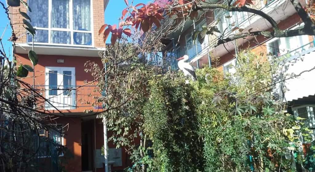 Zhasmin Guest House: главное фото 1