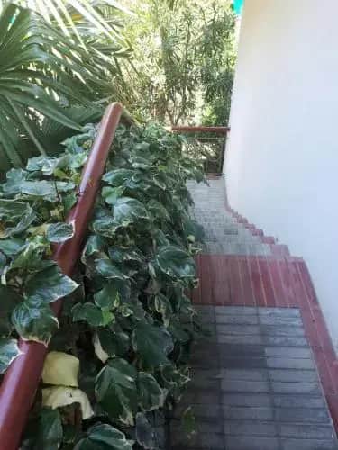 Guest House on Bogdana Khmelnitskogo: фото 2
