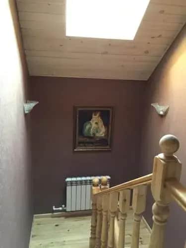Serebryanniy ruchey cottage: фото 3