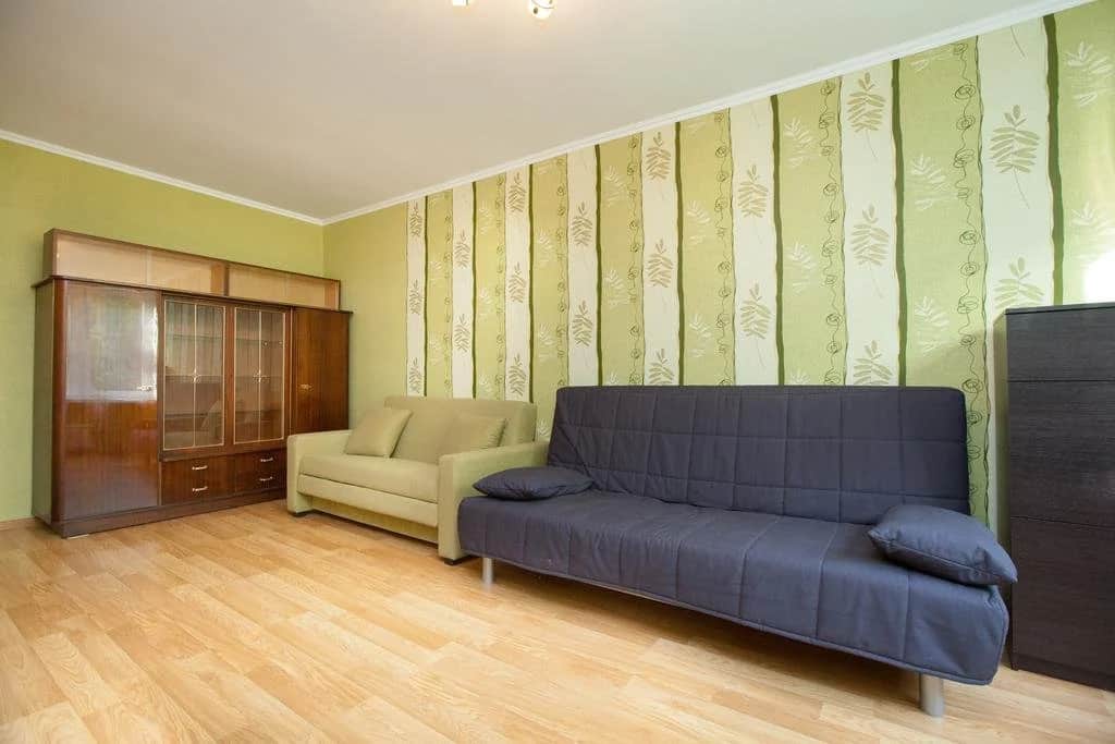Economy Brusnika Apartment Vykhino: фото 3