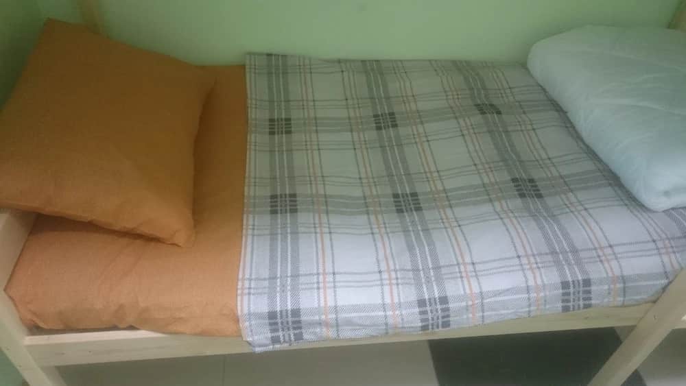 Gorki Hostel: фото 2