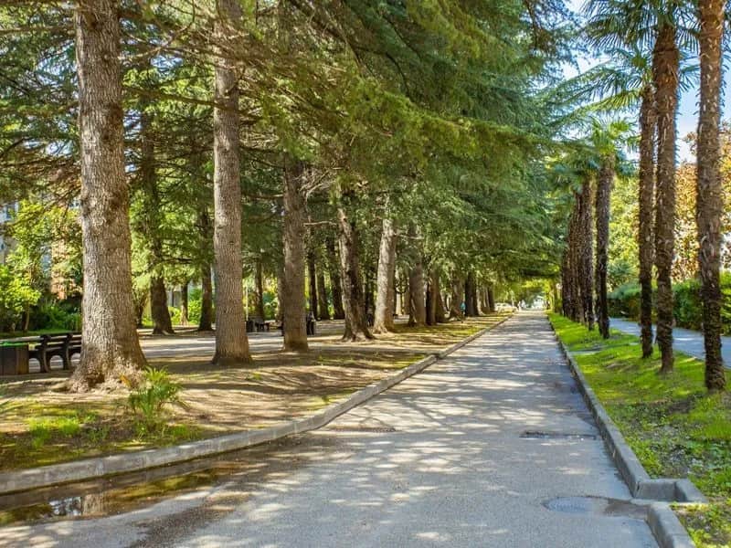 Олеся (Куйбышева): фото 3