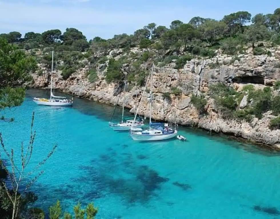 103929 -  House in Cala Pi: фото 3
