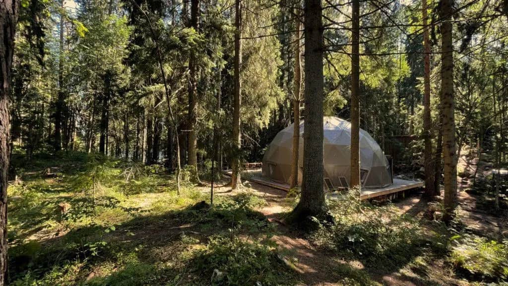 Villy Uley Karelia (Вили Улей Карелия): фото 2