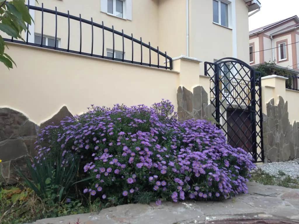 Guest House Na Chernigovskoy: фото 3