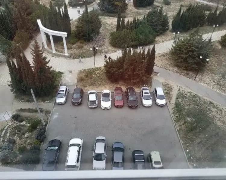 Park-Hotel (Севастополь): фото 3