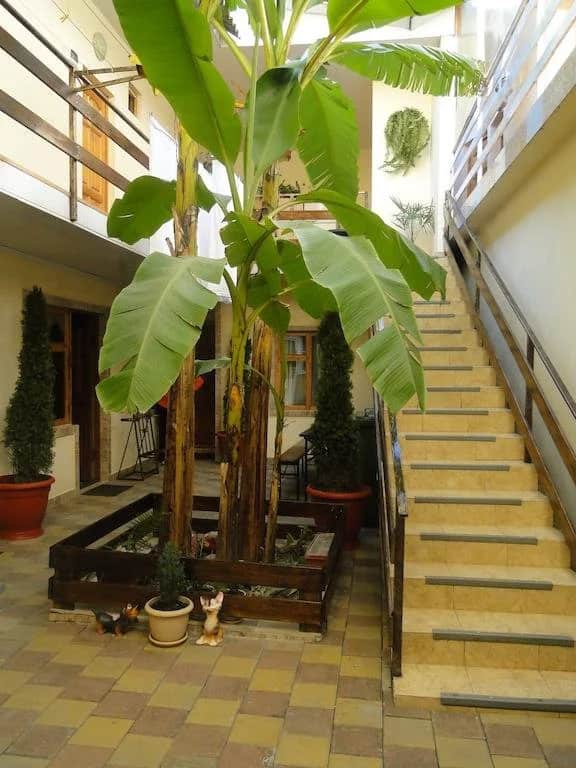 Afalina Guest House: фото 3