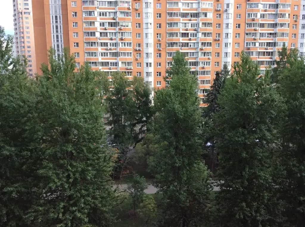 Меблированные комнаты на Новочеремушкинская 50: фото 3