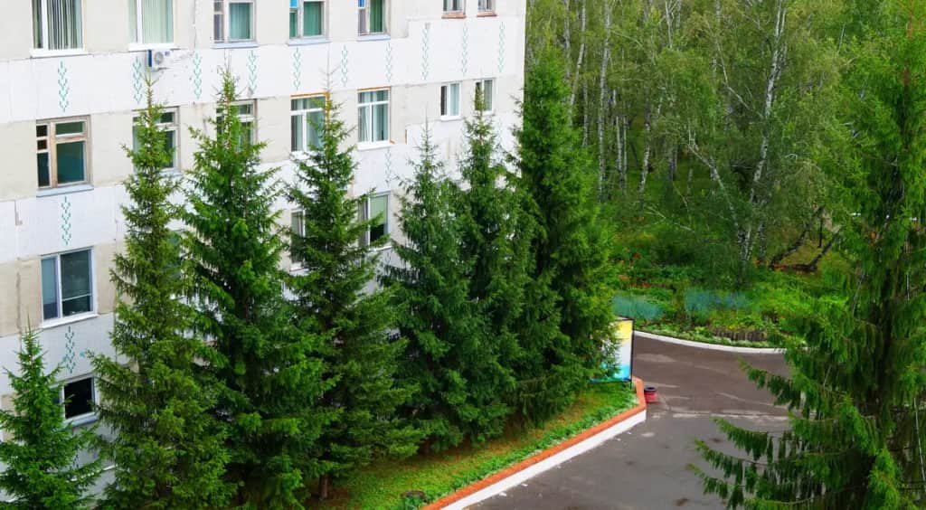 Колос (Омск): фото 2