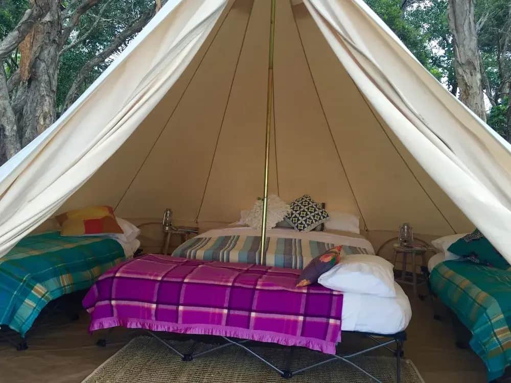 camping Zara: фото 2